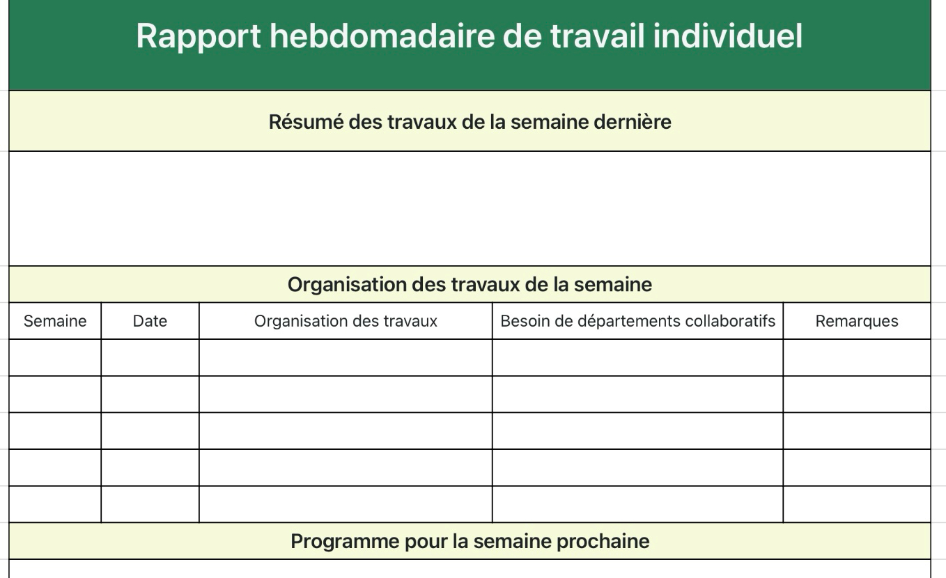 Rapport hebdomadaire de travail individuel